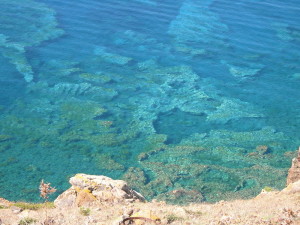 Un'immagine della riserva marina di Ustica