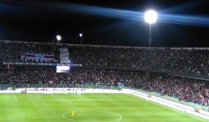 Molti soggetti affetti da Zamparinite frequentano lo stadio Barbera nonostante gli alti rischi di contagio tra la folla.
