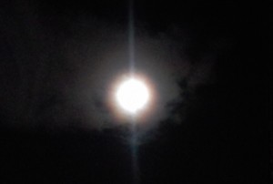La super luna splende lo stesso. Anche se non riusciamo a coglierla con una foto telefonica