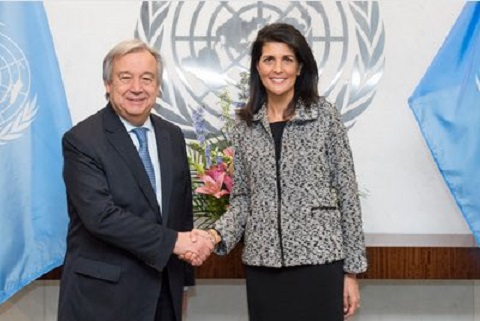 Ambasciatrice Haley dal suo profilo twitter_M