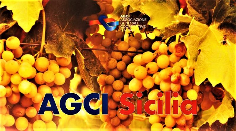 AGCI Sicilia con Uva T