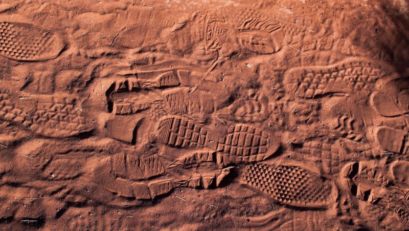 Strani reperti nel deserto Rapporto archeologi