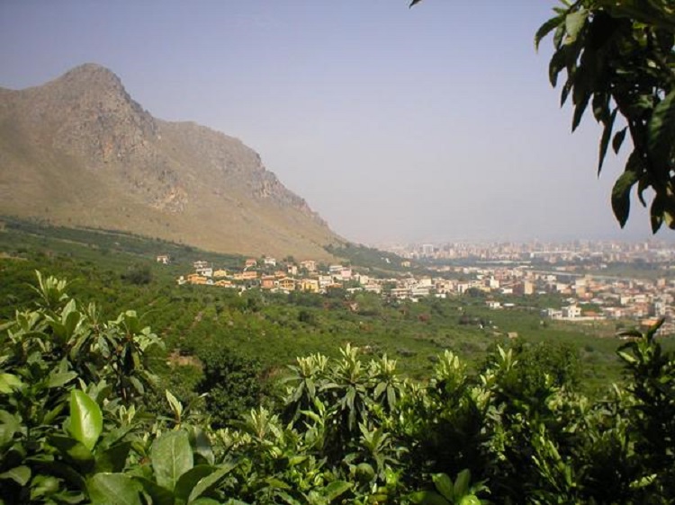 Ciaculli e Monte Grifone alle porte di Palermo M