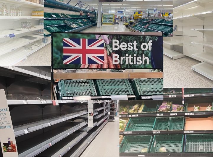 Brexit Trap collage 1 M