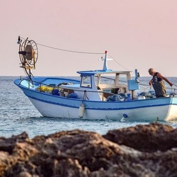 Mercato ittico e pesca-artigianale